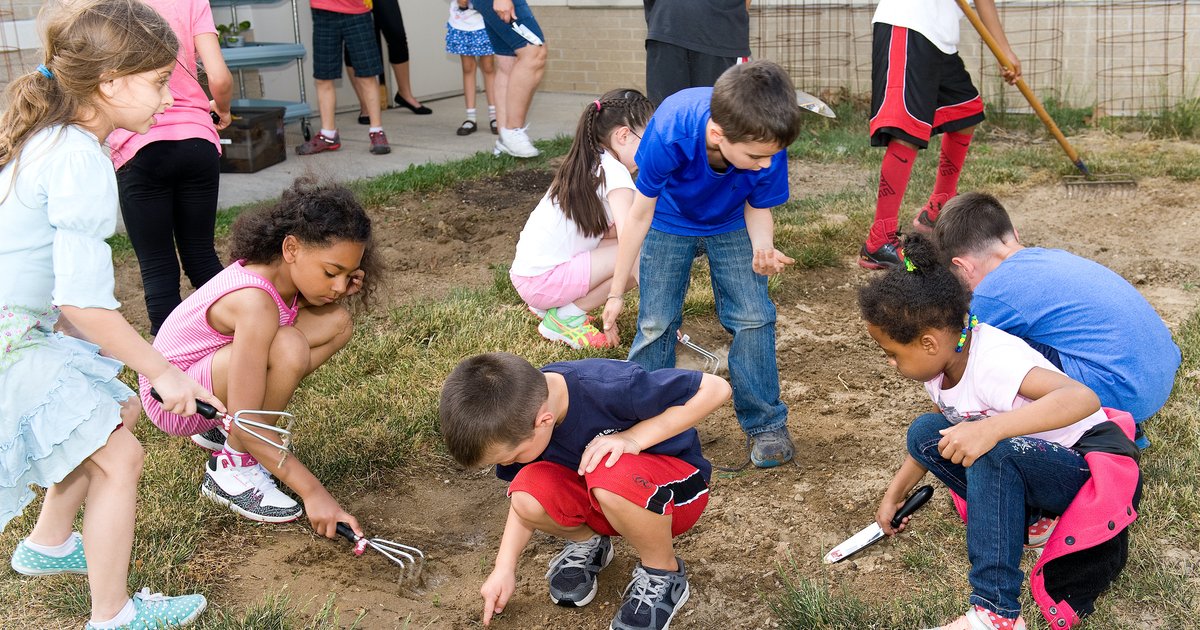 SHSAT Petition featured image